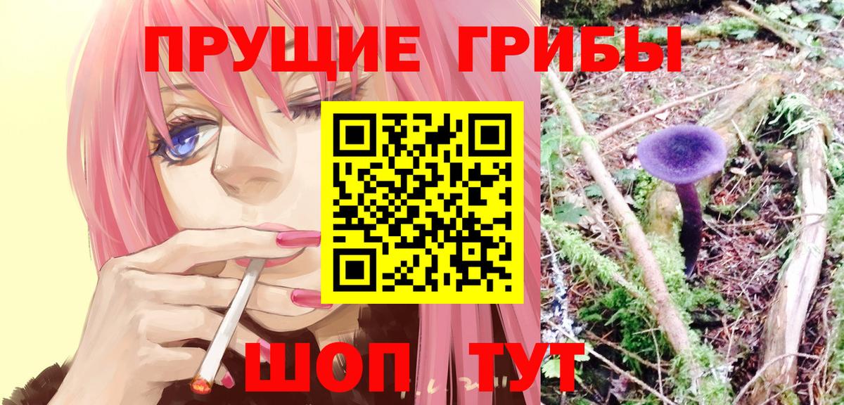 Галлюциногенные грибы Magic Shrooms Пенза