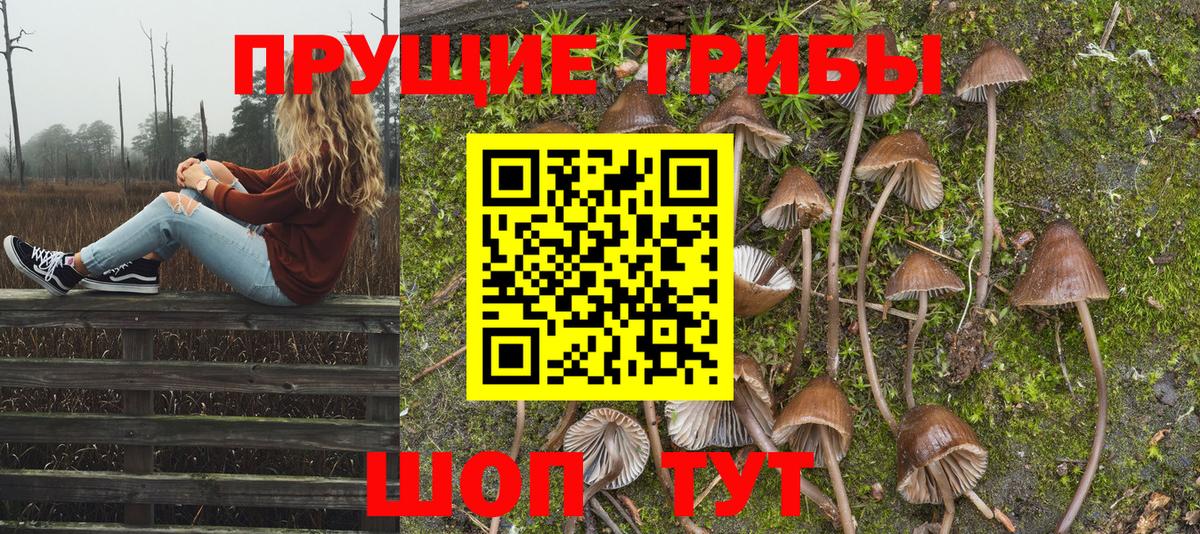 Псилоцибиновые грибы Magic Shrooms  Галлюциногенные грибы Psilocybine cubensis  Вход с VPN  Пенза 